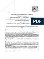 BMCII Practica8 PDF