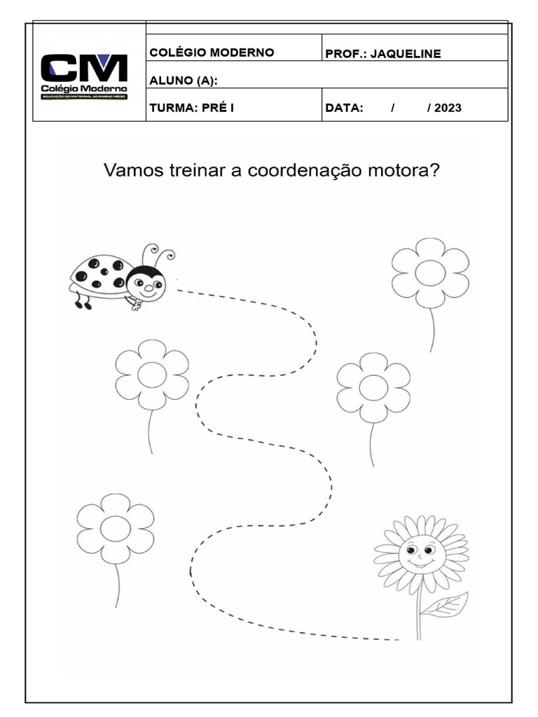 Coordenação Motora | PDF