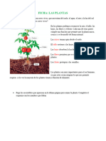 Ficha Ciencias - Plantas