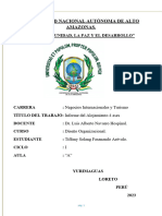 Informe Diseño Original (Tiff)