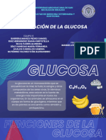 Regulación de La Glucosa - 20231127 - 064806 - 0000