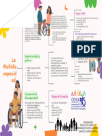 NIVELES DE DISCAPACIDAD en El Perú