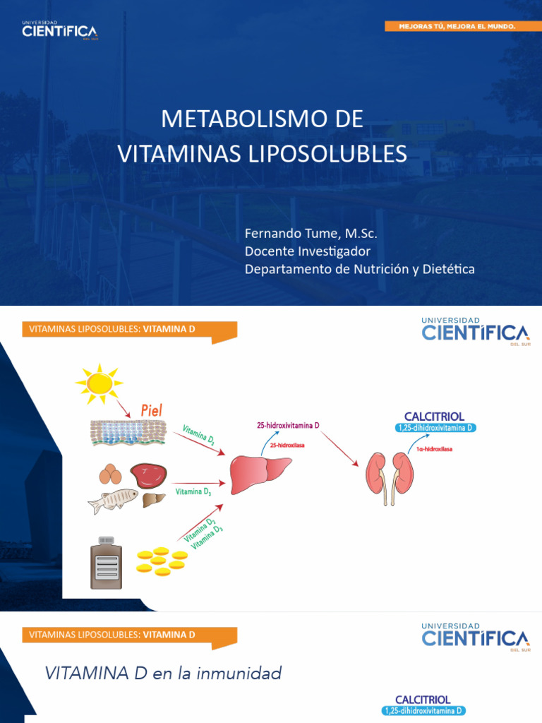 vitaminas-liposolubles-pdf-vitamina-a-vitamina-d