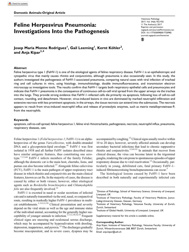 Cat Flu PDF Epithelium Virus