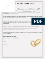 Acta de Matrimonio Falsa Online