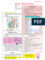 Oncogenese - CA de Mama