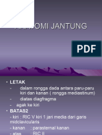 anatomi-jantung