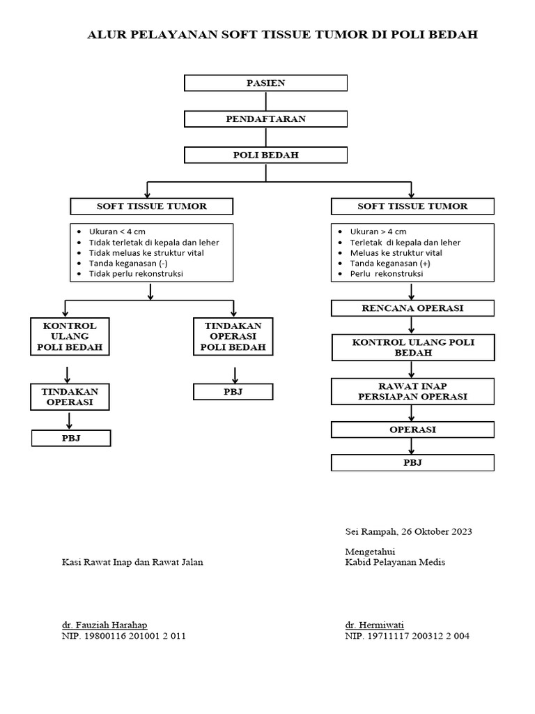 Alur Pelayanan Soft Tissue Tumor | PDF