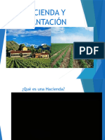 La Hacienda y La Plantación