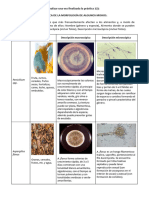 Cuestiones PRÁCTICA 12 Postpráctica