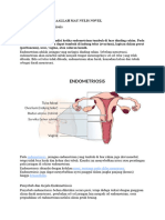 Pengertian Endometriosis: Penyebab Dan Gejala Endometriosis