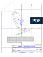 Plano Perimertrico