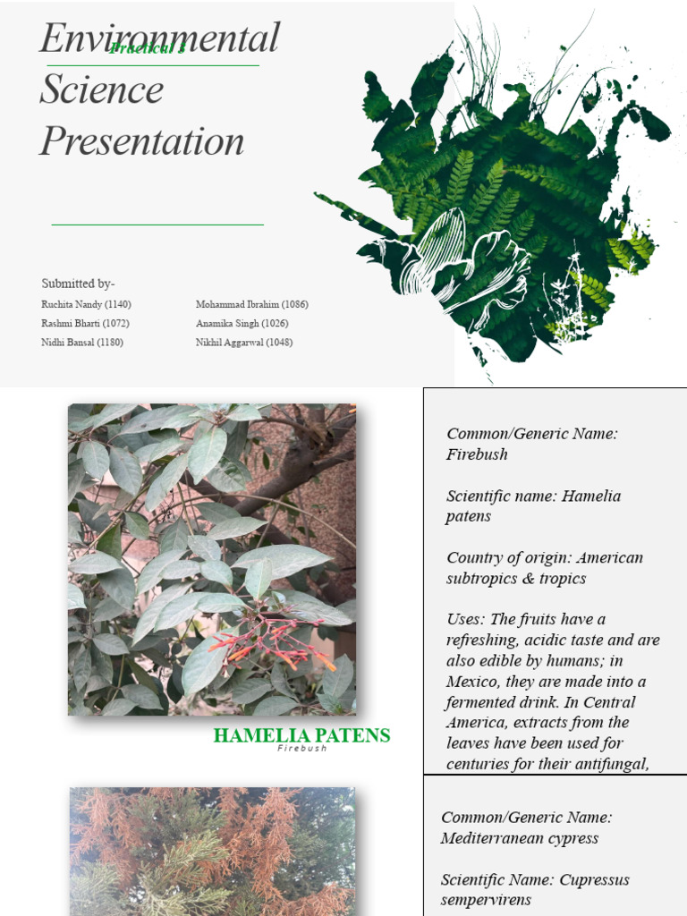 Environmental Science Presentation Pdf Plants Botany