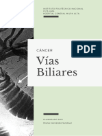 Vias Biliares