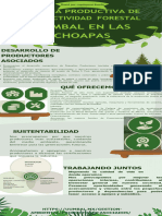 Cadena Productiva de Una Actividad Forestal - Infografia - U4-Economía Forestal