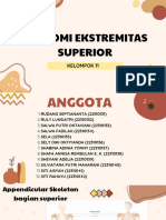 Ekstremitas Superior - Kelompok 11