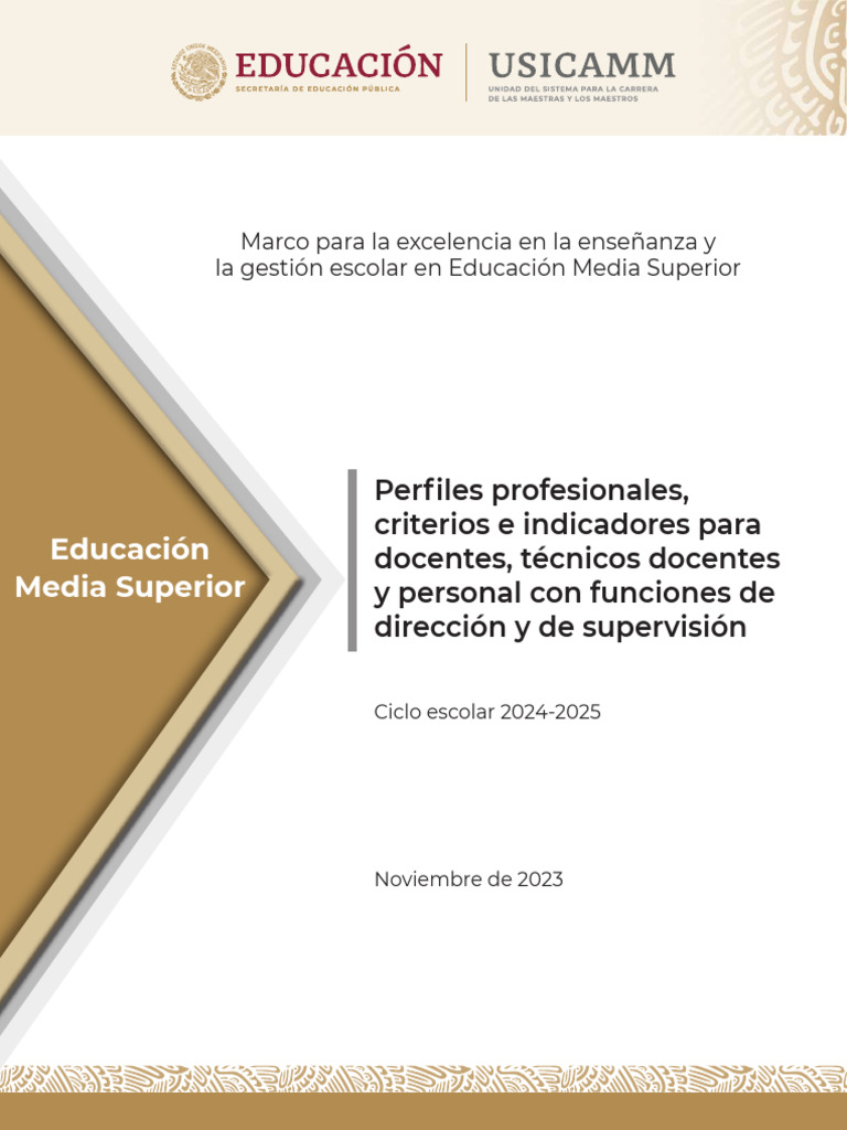 Perfiles y Criterios Docentes 2024-2025 | PDF | Plan de estudios ...