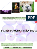 1. Stanica Osnovna Jedinica Života