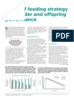 Effect of Feeding Strategy On Breeder Offspring Perf 1699191271