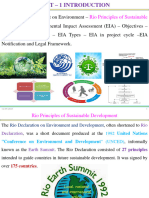Rio Principles of Sustainable Development