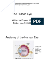 The Human Eye: Written For Physics 106 Friday, Nov. 7, 2008