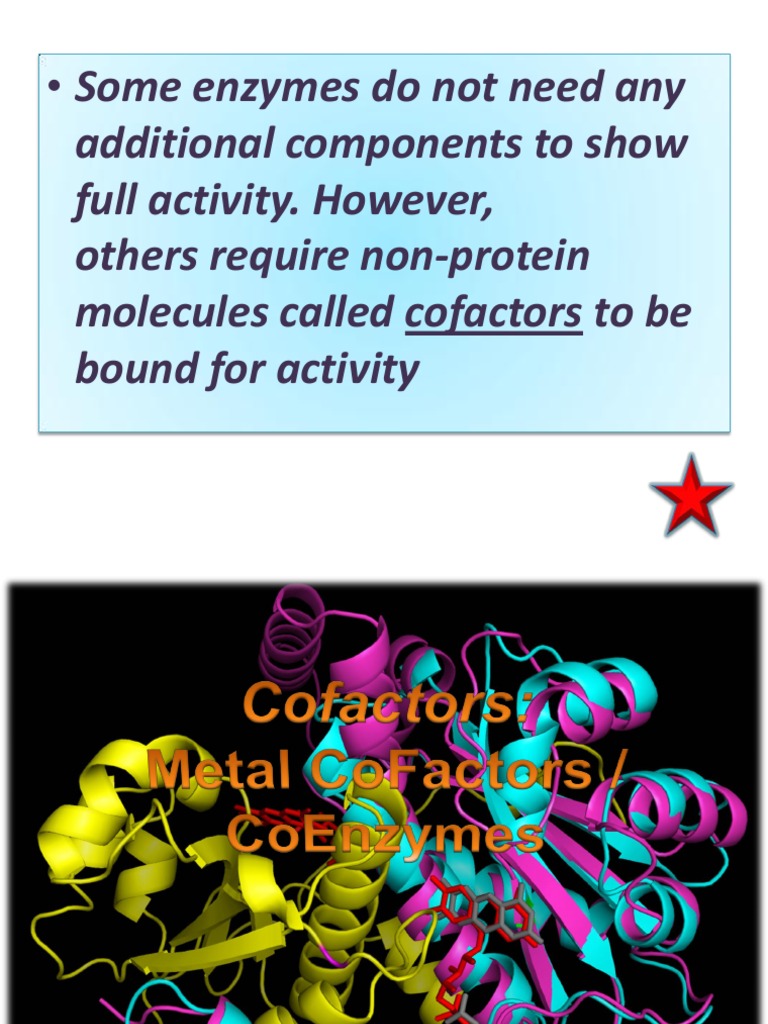 Biochemistry Group Presentation PDF Cofactor (Biochemistry) Enzyme