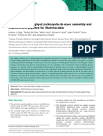 Robust High-Throughput Prokaryote de Novo Assembly and Improvement Pipeline For Illumina Data