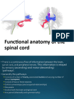 21-Spinal Cord Tracts I