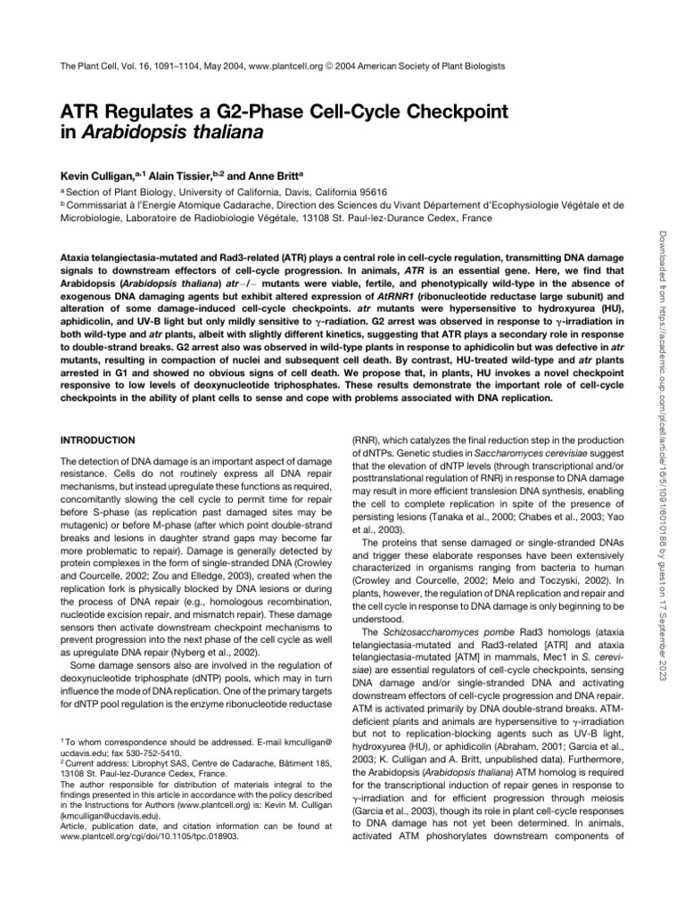 Plcell v16 5 1091 pdf dna repair cell cycle