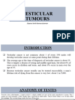 Surgical Posting - Testicular Tumours