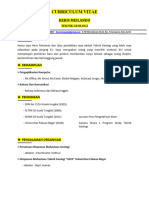CURRICULUM VITA-WPS Office - Docx Lando