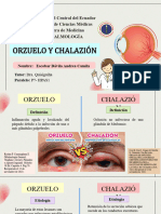 Orzuelo y Chalazion - Escobar Dávila Andrea Camila - P7