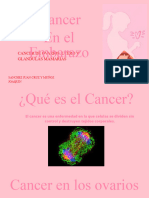 Copia de Cancer en Mujeres Embarazadas