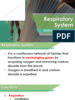 11 Respiratory System F