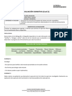 Evaluacion Diferenciada - Remedial (Sumativa) - Electivos