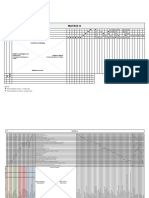 Matriz X