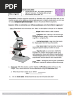 Cell Types Activity Word