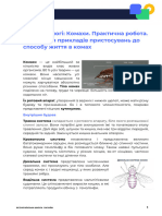 7 клас. Біологія. Урок 8.1. Членистоногі Комахи. Практична робота. Виявлення прикладів пристосувань до способу життя у комах. КОНСПЕКТ 220631 вівторок 27 вересень 2022