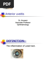  Anterior Uveitis