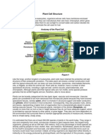 Plant Cell Structure