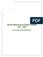 Informe Mensual de La Cartera VP3