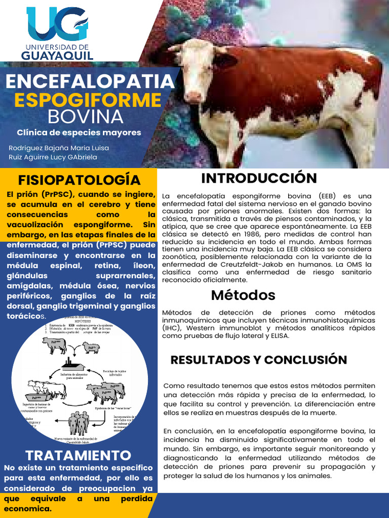 Encefalopatía Esponorme Bovina Diagnóstico Y Control Pdf 