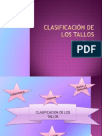 Clasificación de Los Tallos