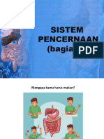 Sistem Pencernaan