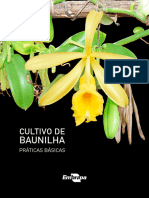 Cultivo Baunilhas Praticas Basicas