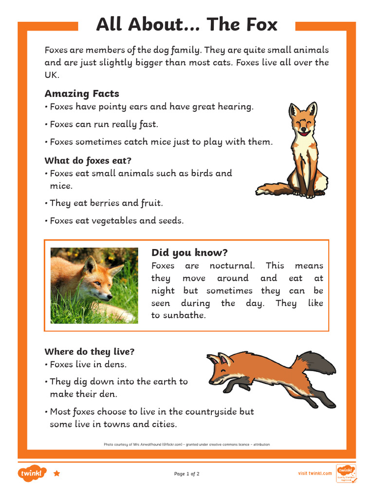 Facts About Foxes for Kids | PDF | Fox | Cats