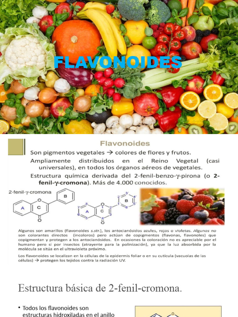Estructura y Función de Flavonoides | PDF | Ciencia y matemáticas ...