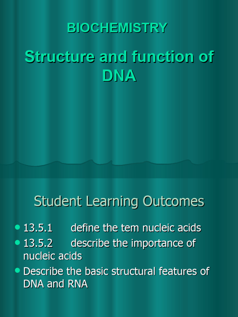 structure-and-function-of-dna-pdf-nucleic-acids-nucleotides