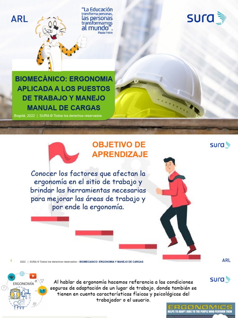 Ergonomía en el Manejo de Cargas | PDF | Factores humanos y ergonomía ...