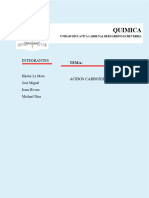 Documentacion Quimica Acidos Carboxilos Oficial